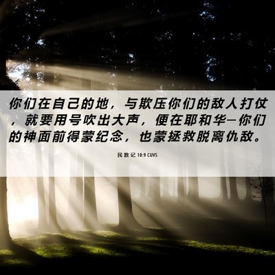 Picture 06 - 民 数 记 10:9 CUVS - 你 们 在 自 己 的 地 ， 与 欺 压 你 - Bible Verse Picture