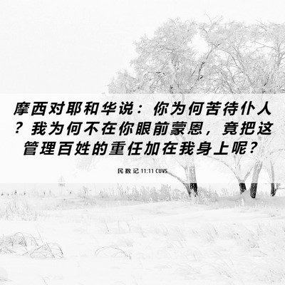 Picture 06 - 民 数 记 11:11 CUVS - 摩 西 对 耶 和 华 说 ： 你 为 何 苦 - Bible Verse Picture