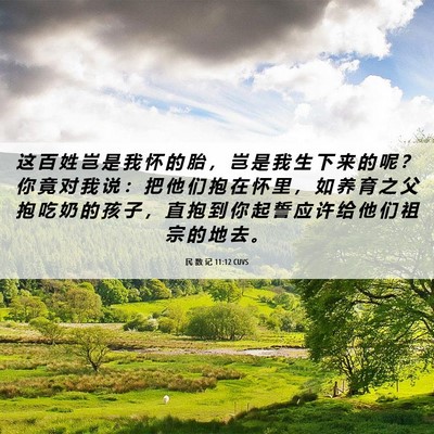 Picture 06 - 民 数 记 11:12 CUVS - 这 百 姓 岂 是 我 怀 的 胎 ， 岂 是 - Bible Verse Picture