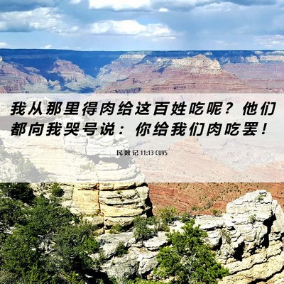 Picture 06 - 民 数 记 11:13 CUVS - 我 从 那 里 得 肉 给 这 百 姓 吃 呢 - Bible Verse Picture