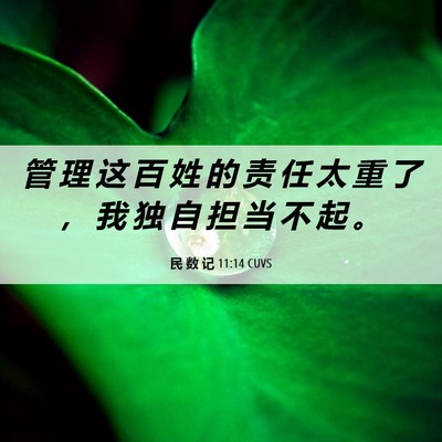Picture 06 - 民 数 记 11:14 CUVS - 管 理 这 百 姓 的 责 任 太 重 了 ， - Bible Verse Picture