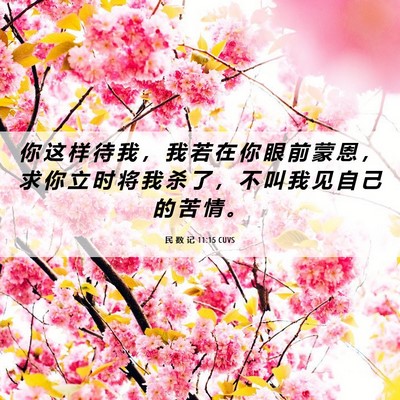 Picture 06 - 民 数 记 11:15 CUVS - 你 这 样 待 我 ， 我 若 在 你 眼 前 - Bible Verse Picture