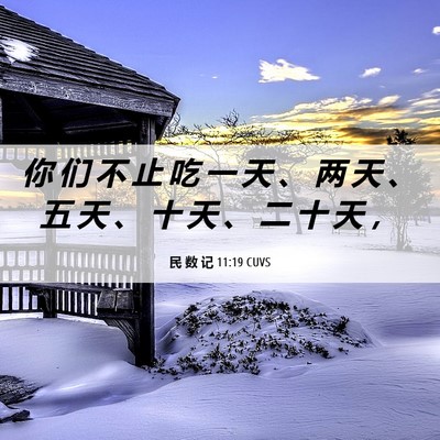 Picture 06 - 民 数 记 11:19 CUVS - 你 们 不 止 吃 一 天 、 两 天 、 五 - Bible Verse Picture