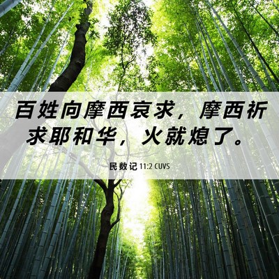 Picture 06 - 民 数 记 11:2 CUVS - 百 姓 向 摩 西 哀 求 ， 摩 西 祈 求 - Bible Verse Picture