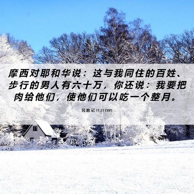 Picture 06 - 民 数 记 11:21 CUVS - 摩 西 对 耶 和 华 说 ： 这 与 我 同 - Bible Verse Picture
