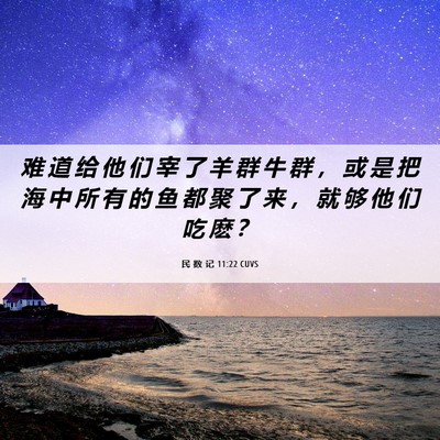 Picture 06 - 民 数 记 11:22 CUVS - 难 道 给 他 们 宰 了 羊 群 牛 群 ， - Bible Verse Picture