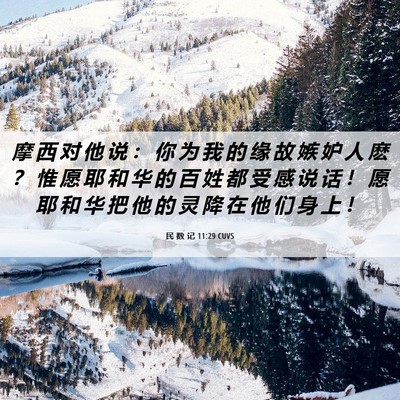 Picture 06 - 民 数 记 11:29 CUVS - 摩 西 对 他 说 ： 你 为 我 的 缘 故 - Bible Verse Picture