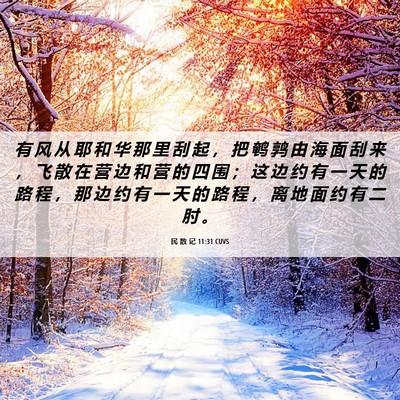 Picture 06 - 民 数 记 11:31 CUVS - 有 风 从 耶 和 华 那 里 刮 起 ， 把 - Bible Verse Picture