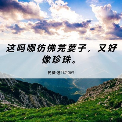 Picture 06 - 民 数 记 11:7 CUVS - 这 吗 哪 彷 佛 芫 荽 子 ， 又 好 像 - Bible Verse Picture