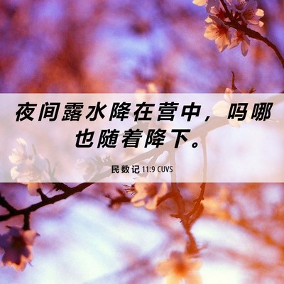 Picture 06 - 民 数 记 11:9 CUVS - 夜 间 露 水 降 在 营 中 ， 吗 哪 也 - Bible Verse Picture