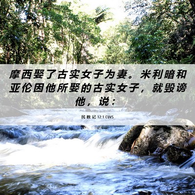 Picture 06 - 民 数 记 12:1 CUVS - 摩 西 娶 了 古 实 女 子 为 妻 。 米 - Bible Verse Picture