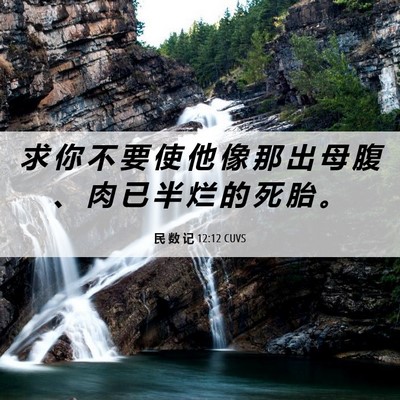 Picture 06 - 民 数 记 12:12 CUVS - 求 你 不 要 使 他 像 那 出 母 腹 、 - Bible Verse Picture