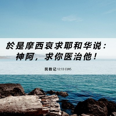 Picture 06 - 民 数 记 12:13 CUVS - 於 是 摩 西 哀 求 耶 和 华 说 ： 神 - Bible Verse Picture