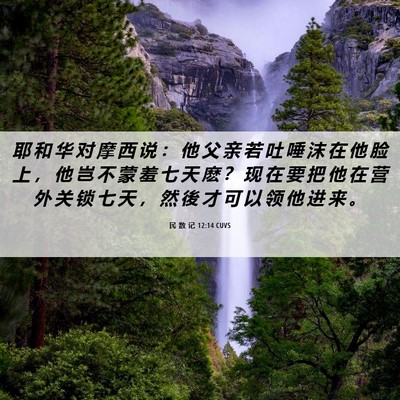 Picture 06 - 民 数 记 12:14 CUVS - 耶 和 华 对 摩 西 说 ： 他 父 亲 若 - Bible Verse Picture
