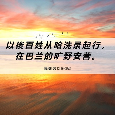 Picture 06 - 民 数 记 12:16 CUVS - 以 後 百 姓 从 哈 洗 录 起 行 ， 在 - Bible Verse Picture