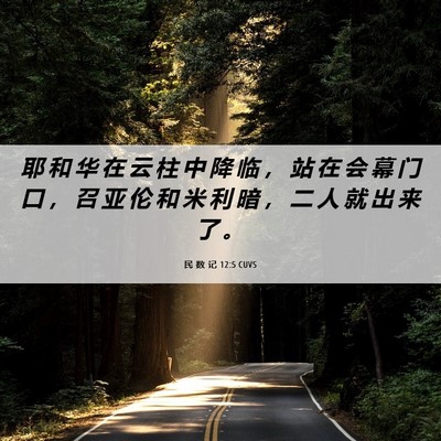 Picture 06 - 民 数 记 12:5 CUVS - 耶 和 华 在 云 柱 中 降 临 ， 站 在 - Bible Verse Picture