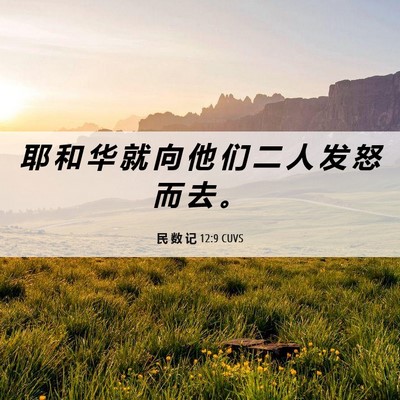 Picture 06 - 民 数 记 12:9 CUVS - 耶 和 华 就 向 他 们 二 人 发 怒 而 - Bible Verse Picture