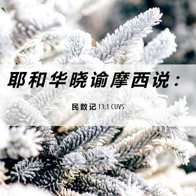Picture 06 - 民 数 记 13:1 CUVS - 耶 和 华 晓 谕 摩 西 说 - Bible Verse Picture
