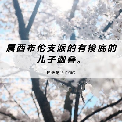 Picture 06 - 民 数 记 13:10 CUVS - 属 西 布 伦 支 派 的 有 梭 底 的 儿 - Bible Verse Picture