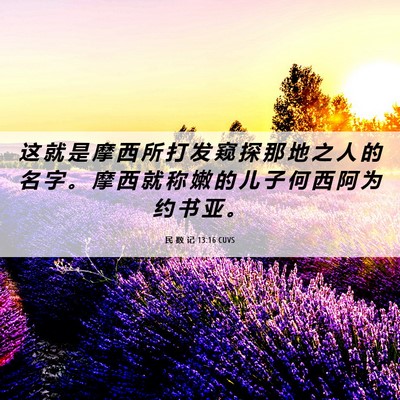 Picture 06 - 民 数 记 13:16 CUVS - 这 就 是 摩 西 所 打 发 窥 探 那 地 - Bible Verse Picture