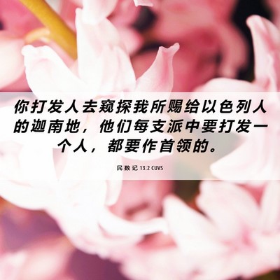 Picture 06 - 民 数 记 13:2 CUVS - 你 打 发 人 去 窥 探 我 所 赐 给 以 - Bible Verse Picture
