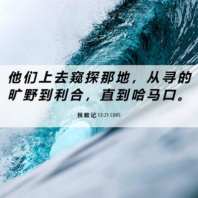 Picture 06 - 民 数 记 13:21 CUVS - 他 们 上 去 窥 探 那 地 ， 从 寻 的 - Bible Verse Picture