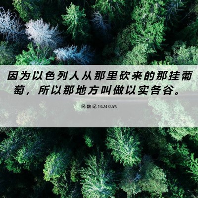 Picture 06 - 民 数 记 13:24 CUVS - 因 为 以 色 列 人 从 那 里 砍 来 的 - Bible Verse Picture