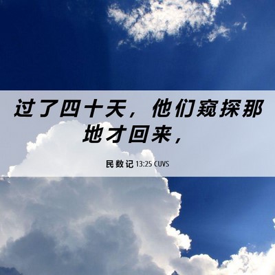 Picture 06 - 民 数 记 13:25 CUVS - 过 了 四 十 天 ， 他 们 窥 探 那 地 - Bible Verse Picture