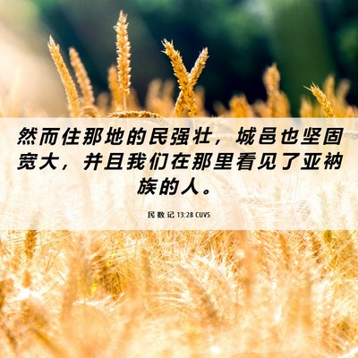 Picture 06 - 民 数 记 13:28 CUVS - 然 而 住 那 地 的 民 强 壮 ， 城 邑 - Bible Verse Picture