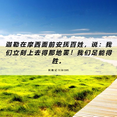Picture 06 - 民 数 记 13:30 CUVS - 迦 勒 在 摩 西 面 前 安 抚 百 姓 ， - Bible Verse Picture