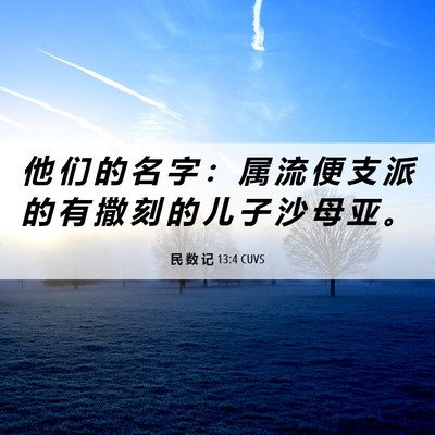 Picture 06 - 民 数 记 13:4 CUVS - 他 们 的 名 字 ： 属 流 便 支 派 的 - Bible Verse Picture