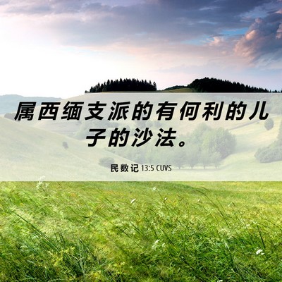 Picture 06 - 民 数 记 13:5 CUVS - 属 西 缅 支 派 的 有 何 利 的 儿 子 - Bible Verse Picture