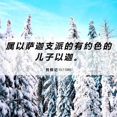 Picture 06 - 民 数 记 13:7 CUVS - 属 以 萨 迦 支 派 的 有 约 色 的 儿 - Bible Verse Picture