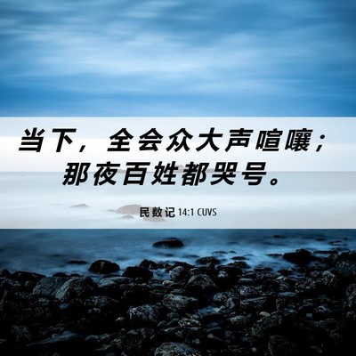 Picture 06 - 民 数 记 14:1 CUVS - 当 下 ， 全 会 众 大 声 喧 嚷 ； 那 - Bible Verse Picture