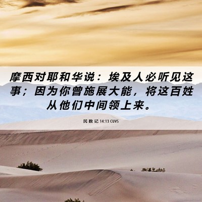 Picture 06 - 民 数 记 14:13 CUVS - 摩 西 对 耶 和 华 说 ： 埃 及 人 必 - Bible Verse Picture