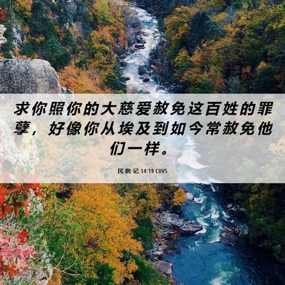 Picture 06 - 民 数 记 14:19 CUVS - 求 你 照 你 的 大 慈 爱 赦 免 这 百 - Bible Verse Picture