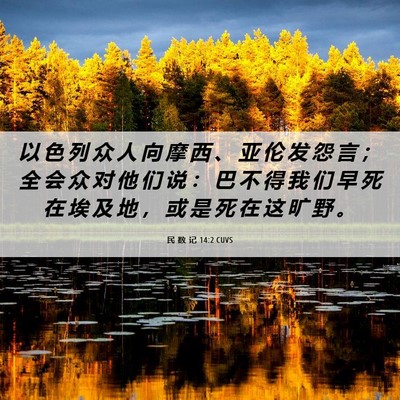 Picture 06 - 民 数 记 14:2 CUVS - 以 色 列 众 人 向 摩 西 、 亚 伦 发 - Bible Verse Picture