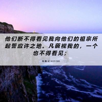 Picture 06 - 民 数 记 14:23 CUVS - 他 们 断 不 得 看 见 我 向 他 们 的 - Bible Verse Picture