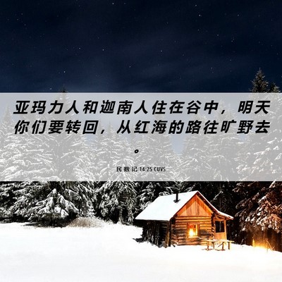 Picture 06 - 民 数 记 14:25 CUVS - 亚 玛 力 人 和 迦 南 人 住 在 谷 中 - Bible Verse Picture