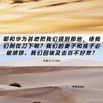 Picture 06 - 民 数 记 14:3 CUVS - 耶 和 华 为 甚 麽 把 我 们 领 到 那 - Bible Verse Picture