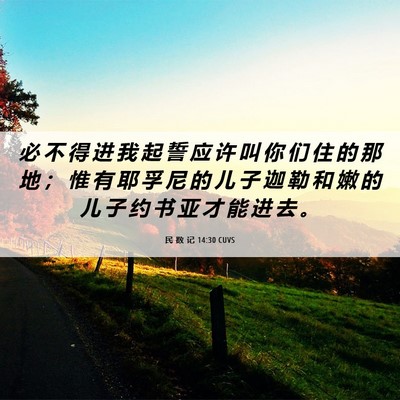 Picture 06 - 民 数 记 14:30 CUVS - 必 不 得 进 我 起 誓 应 许 叫 你 们 - Bible Verse Picture