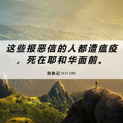 Picture 06 - 民 数 记 14:37 CUVS - 这 些 报 恶 信 的 人 都 遭 瘟 疫 ， - Bible Verse Picture