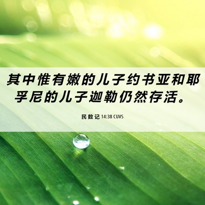 Picture 06 - 民 数 记 14:38 CUVS - 其 中 惟 有 嫩 的 儿 子 约 书 亚 和 - Bible Verse Picture