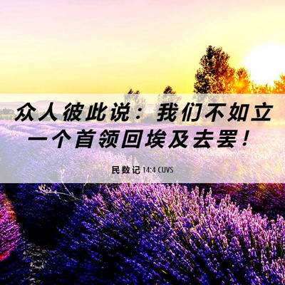 Picture 06 - 民 数 记 14:4 CUVS - 众 人 彼 此 说 ： 我 们 不 如 立 一 - Bible Verse Picture