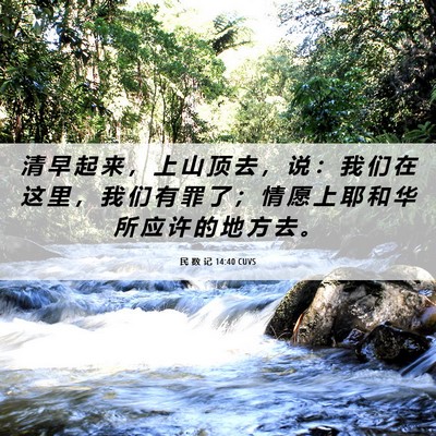 Picture 06 - 民 数 记 14:40 CUVS - 清 早 起 来 ， 上 山 顶 去 ， 说 ： - Bible Verse Picture