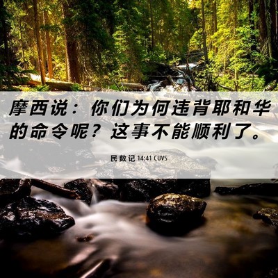 Picture 06 - 民 数 记 14:41 CUVS - 摩 西 说 ： 你 们 为 何 违 背 耶 和 - Bible Verse Picture