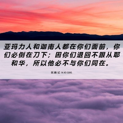 Picture 06 - 民 数 记 14:43 CUVS - 亚 玛 力 人 和 迦 南 人 都 在 你 们 - Bible Verse Picture