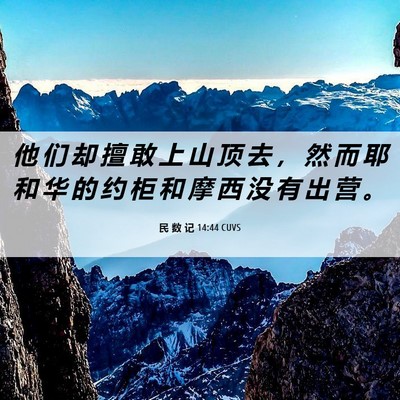Picture 06 - 民 数 记 14:44 CUVS - 他 们 却 擅 敢 上 山 顶 去 ， 然 而 - Bible Verse Picture