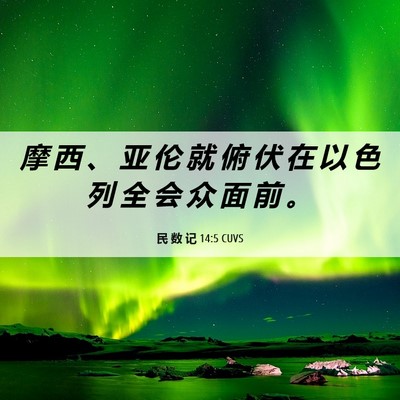 Picture 06 - 民 数 记 14:5 CUVS - 摩 西 、 亚 伦 就 俯 伏 在 以 色 列 - Bible Verse Picture
