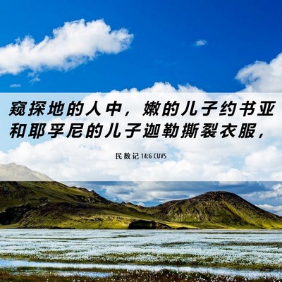 Picture 06 - 民 数 记 14:6 CUVS - 窥 探 地 的 人 中 ， 嫩 的 儿 子 约 - Bible Verse Picture